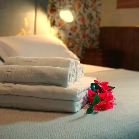 Apartment San Miguel Gallery Jerez de la Frontera