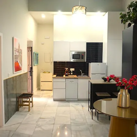 San Miguel Gallery Apartment *