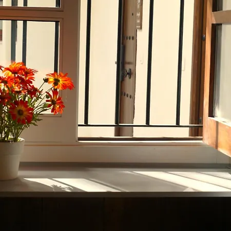 Apartment San Miguel Gallery *