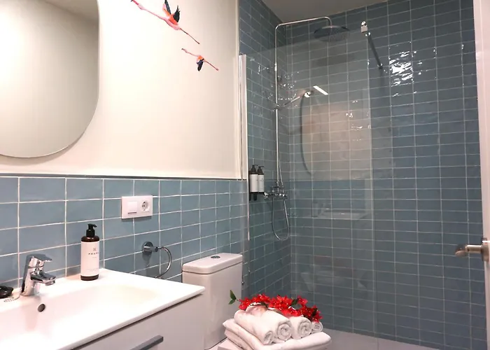 San Miguel Gallery Apartment *