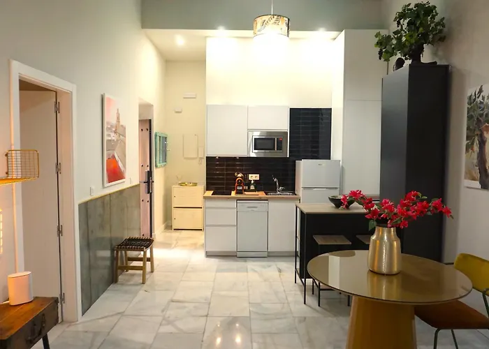 San Miguel Gallery Apartment *