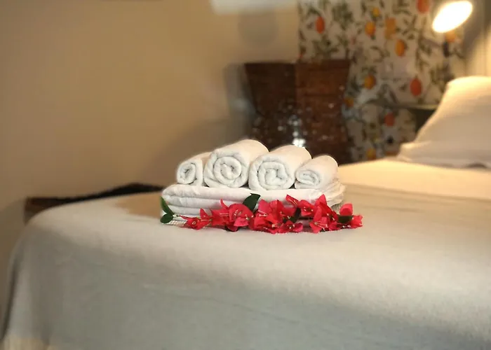 San Miguel Gallery Apartment *