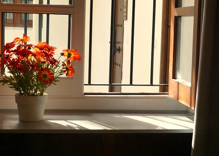 Apartment San Miguel Gallery *